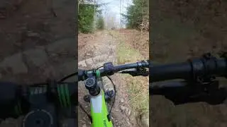 Insane Off-Piste Speed Run at Grizedale Forest! Fast & Wild MTB Descent! #mtb #mountainbiking