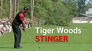 Tiger Woods Stinger