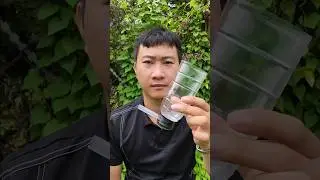 Make your own cheering trumpet #diy #craft #invention #diytoys #diy101 #trumpet