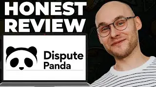 Обзор Dispute Panda &ndash; все еще хорош?