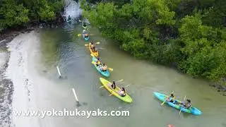 Yokahu Kayaks bio bay experience in Puerto Rico!