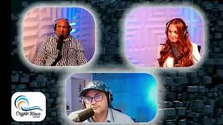 CryptoWave Podcast - Long and Hard: Cold and Hot. Wallets 101
