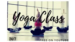 YOGA CLASSES  Modus Music Yoga Zodiac