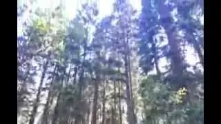Queen Elizabeth Forest Park