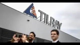 TLRY Tilray's Reddit Rally Is Over, Analyst Says: 'Large Downside Risk Ahead'