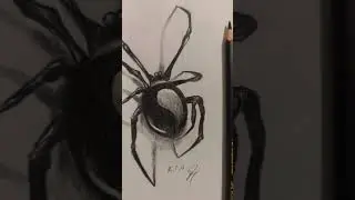 How to draw a black widow 🌒✏️ #art #dark #drawing #pencil #sketch