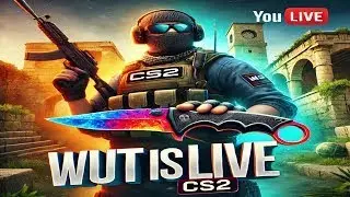 🔴 WuT 🎮 Counter Strike 2 | Faceit RO | Daily stream🔥