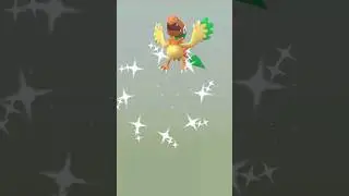 Shiny Archen Hatch (98iv) Pok&eacute;mon Ago - #shinyegg #shinyhatch #egghatching