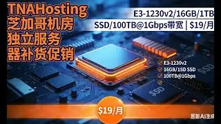 TNAHosting：芝加哥机房低价独立服务器补货，E3-1230v2/16GB/1TB SSD/100TB@1Gbps带宽，$19/月