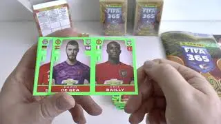 FIFA 365 Box & Album COMPLETE
