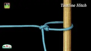 Knotting 208 - Tautline Hitch