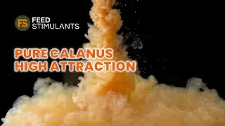 Pure Calanus - Plankton Hydro - Feedstimulants