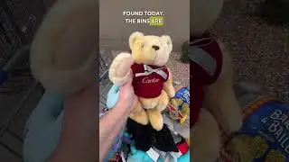 Мягкая игрушка Goodwill Bins стоимостью $1 стоит $100!