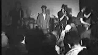 The Sting-Rays 