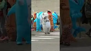 Протестующие возле здания ICE в Портленде находят новые способы выражения своего мнения.