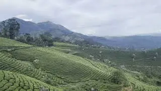 Munnar View Point