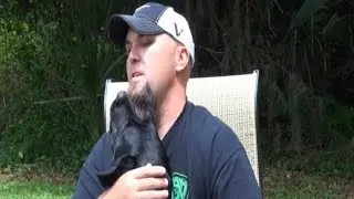 Veteran Has Panic Attack During Interview, Then His Service Dog Leaps Into Action