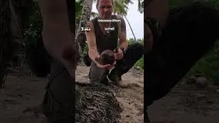 Kokosnuss🥥 I  &laquo;7 vs. Wild&raquo; Schweiz