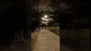 short video #nature # voice real feel sound #releax #liferelaxation #relxaing #relaxlife #releaxing