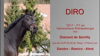 Diro 2021