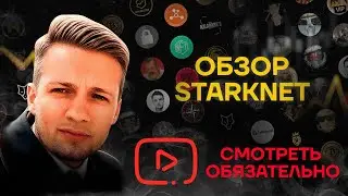 Разумный инвестор ОБЗОР STARKNET с VIP канала
