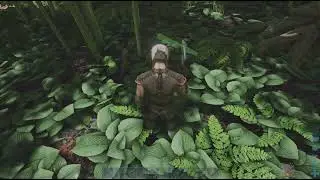 ARK: Survival Evolved base bau