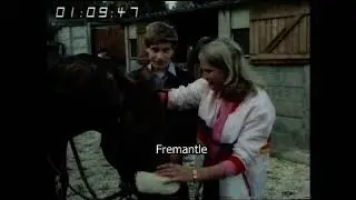 Kids TV | 1980s Television | Horse Racing | Slindon College | South Downs | CBTV Channel 14 | 1982
