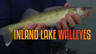 Inland Walleye Fishing Mastery on Mullet Lake with Captain Bryan Buist