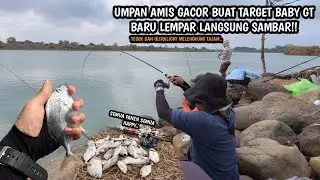 UMPAN AMIS GACOR BANGET TARGET BABY GT!! Mancing dasaran di muara Kertojayan pakai umpan undur laut