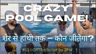 #13 POOL GAME | Animal Rescue Race! 🦁🐘 | OffTheScript by 2PM