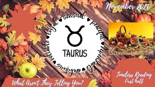♉️ Taurus: They're planning an epic proposal of LOVE; they want to spend their LIFE with you! 🤯💍