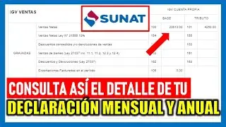 ¿Cómo ver el detalle de mis declaraciones SUNAT 2023?| Declaración Anual y Mensual