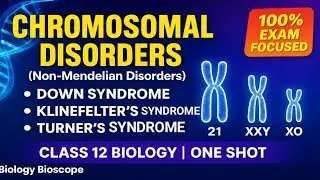 Non-Mendelian Disorders आसान भाषा में | Down, Klinefelter, Turner Syndrome |#biologybioscope 
