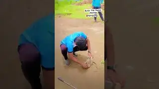 Indian spectacled cobra..2M views on Instagram Instagram.com/official_sarpmitra12_
