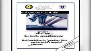 FOCUS SPECIMEN USING COMPOUND MICROSCOPE