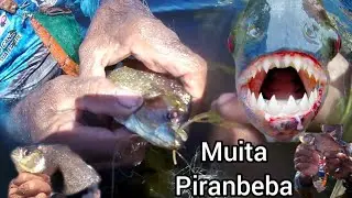 pegamo saco de (piranbeba) pescaria de gal&atilde;o (rede)