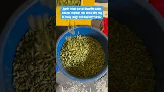 Apple color sorter machine all type pulses and rice sortex machine optical Sorting Machine