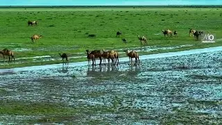 Nugaal &ndash; Dooxada Xamur | Somalia beautiful Land Scapes | #juba
