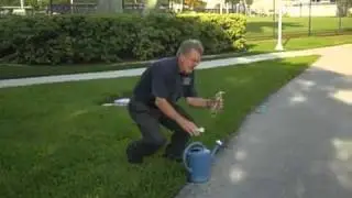 How to Identify Sod Webworm in Your Florida Lawn
