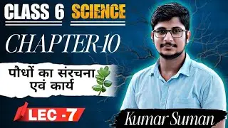 पौधों की सरंचना एवं कार्य 🌿 || SCIENCE CLASS 06 || LEC- 7 (LAST) || BY-  KUMAR SUMAN ||#6th #science
