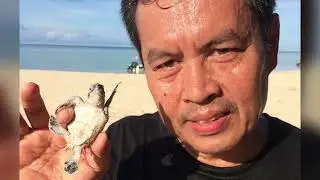 Derawan Island, East Kalimantan, Indonesia