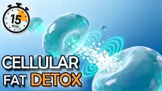 Fat Cell Reset Frequency | Support Healthy Metabolism