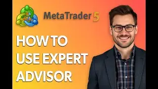 How To Use Expert Advisor Metatrader 5 [Step by Step Guide]