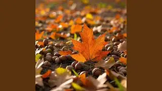 Autumn of Gratitude