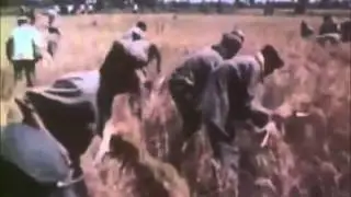 Pol pot song kampuchea bro chea thibtay(1975)
