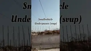 Small vehicle underpasses (SVUP)#ytshorts #shorts #structure #engineering #Civil#highway#technical