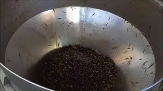 COOPERATIVA AGRICOLA DE ALFANDEGA DA F&Eacute; CRL: LAGAR