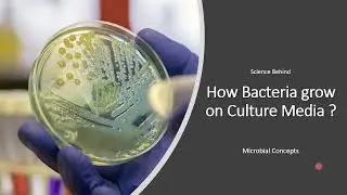 The Science behind- How do Bacteria grow on Culture Media? | Bacterial colony Formation | Basics