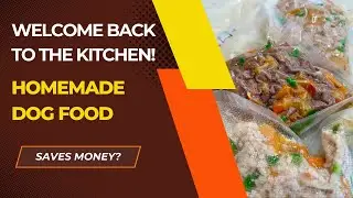 Homemade Dog Food!  Does it save money over subscription fresh food services?