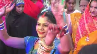 Avnish Wed Sanjana